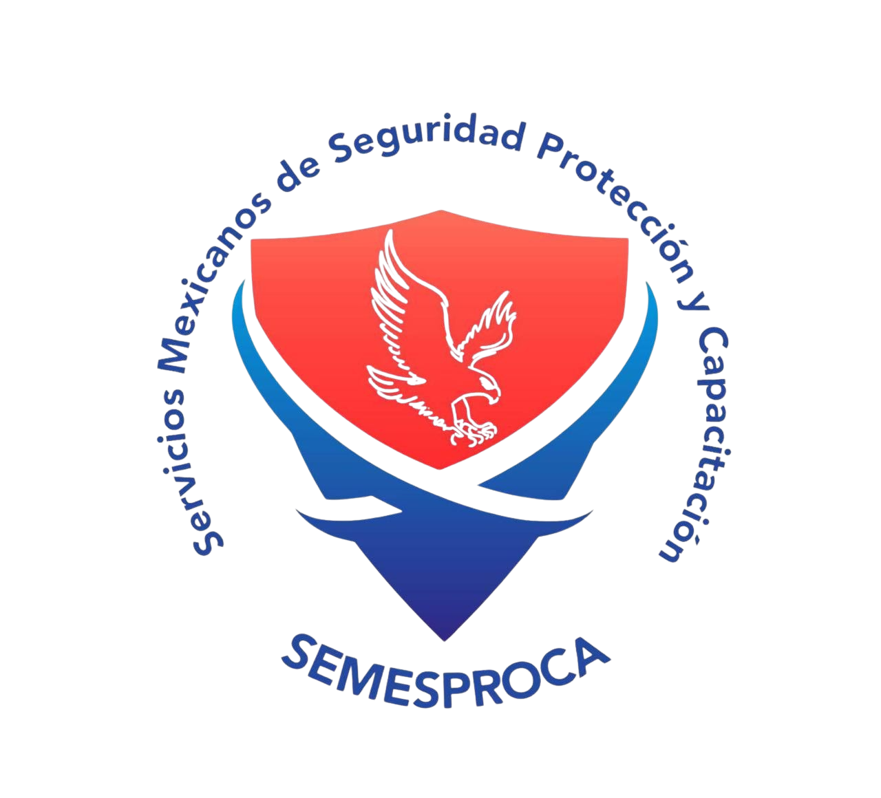 SEMESPROCA Consultoría de Seguridad