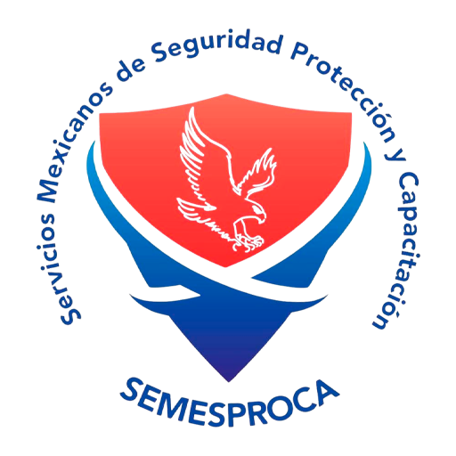 semesproca consultoria de seguridad